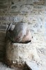 amphora