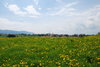 rual idyll