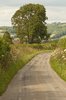 Country Lane