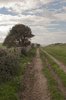Farm Lane