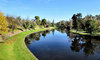 river reflections1