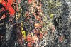 abstract