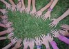Children in friendship