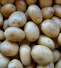 potatoes in bulk2