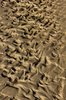 Sand waves texture