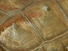tortoise shell contours