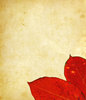 Leaf Collage 12