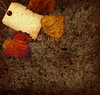 Dirt Collage 3