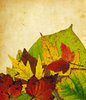 Leaf Collage 8