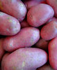 pink potatoes5