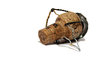 Corks
