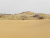 Shapotou desert
