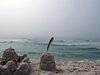 Foggy Sand Castle