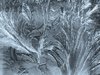 frost pattern 2