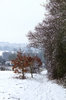 Snowy footpath