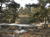 Eastern Qing Tombs