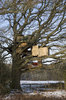 Treehouse