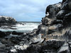 galapagos island