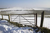 Old gate in snow