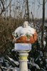 buddha still not freezing
