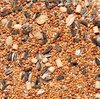 Texture - Bird seed