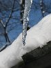 icicle