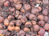 Rotten apples