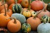 Pumpkins