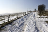 Snowy track