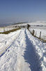 Snowy track