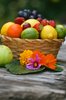 Fruit Basket