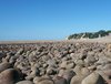 Stony Beach