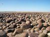 Stony Beach