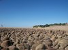 Stony Beach