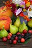 Summer Harvest