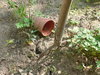Garden work
