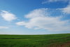 blue and green
