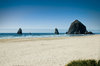 Ocean in a Haystack
