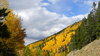 Aspen