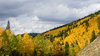Aspen