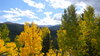 Aspen