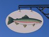 we sell fish 2