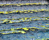 pool ripples & reflections