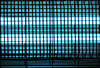 bug light squares