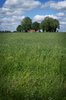 Farm in Sweden_1