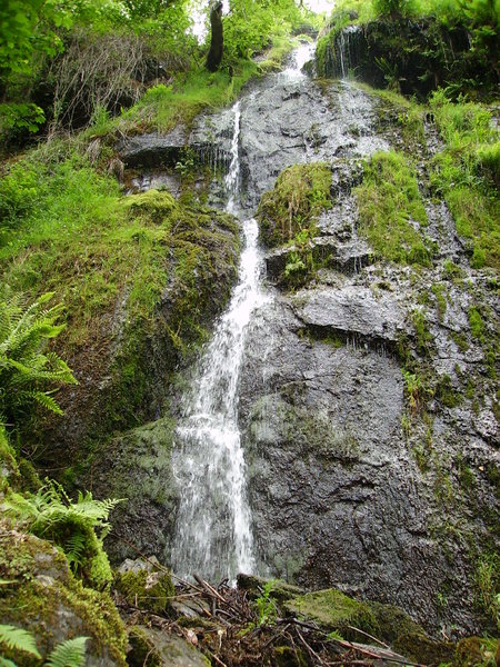 Country waterfall: The image was taken in a large wooded area of Devon.