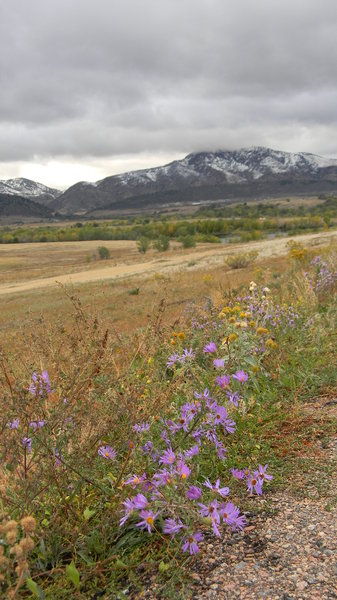 October: My favorite park. It was the first snow of the season- October 8, 2011.