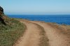 Path to the ocean 3