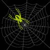 Arachnophobia 2