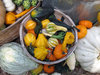 Gourds
